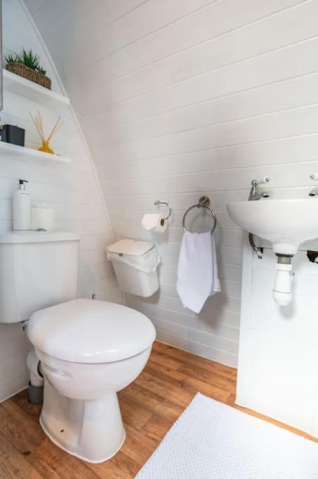 Robin Nest - Cosy Shepherd'S Hut Hideaway Callington Eksteriør bilde